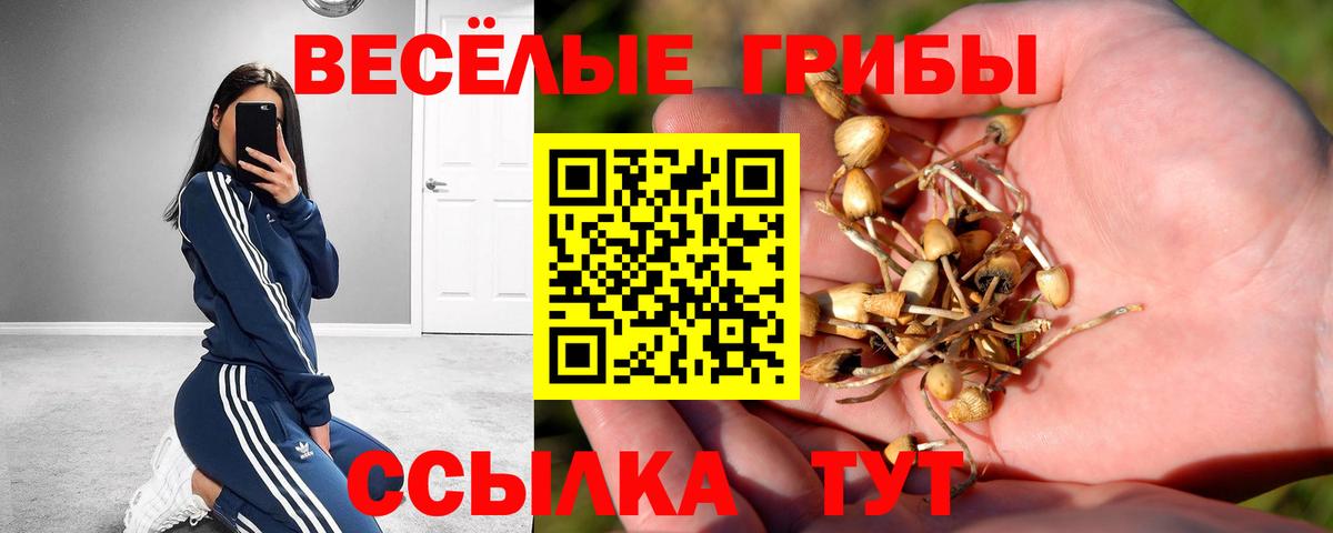 Псилоцибиновые грибы Cubensis  Вход с VPN  где можно купить наркотик  Ивантеевка 