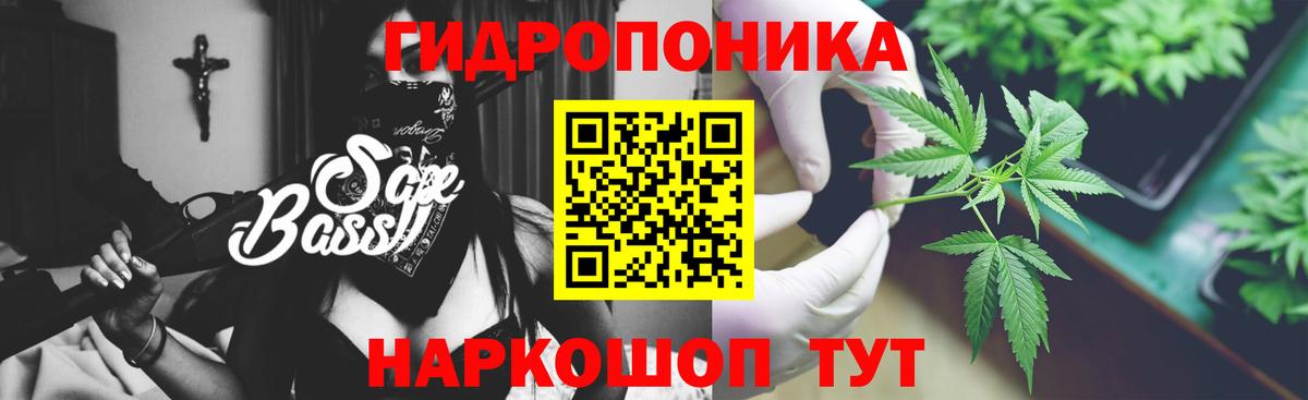 Ивантеевка  Бошки марихуана сатива  МАРИХУАНА сатива  Вход с VPN 
